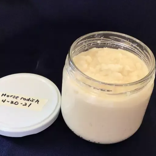 Homemade Prepared Hot Horseradish