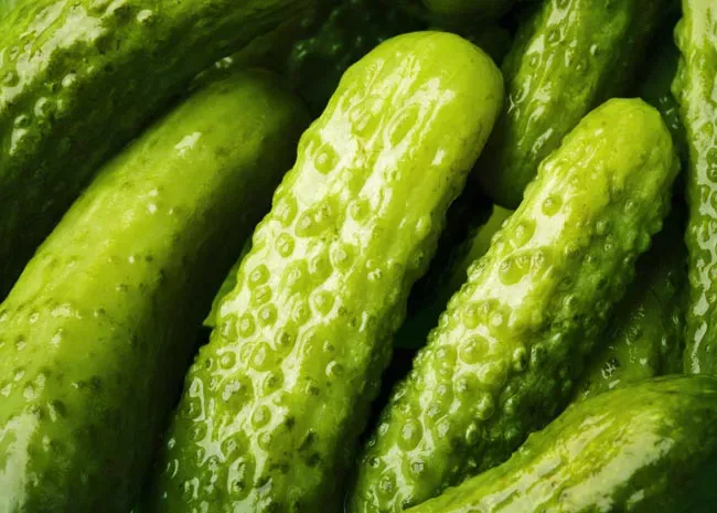 12 Types of Pickles You Need to Know