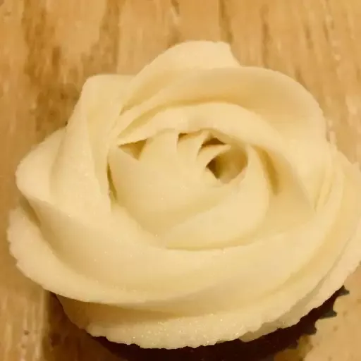 Vegan Chocolate Cupcakes with Vanilla Frosting