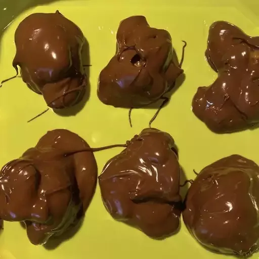 Chocolate Turtles (The Candy)