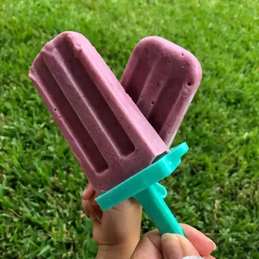 Homemade Fruit Popsicles