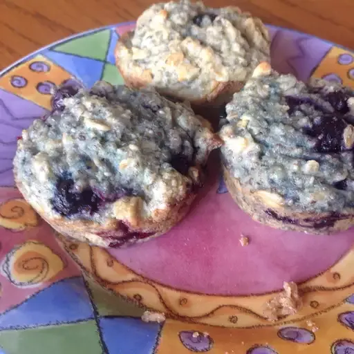 Blueberry Oatmeal Chia Seed Muffins