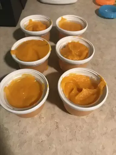 Homemade Puréed Sweet Potato Baby Food