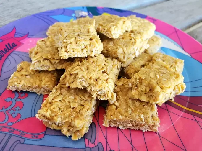 Applesauce Oatmeal Bites for Toddlers