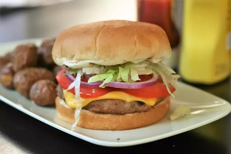 Seasoned Turkey Burgers