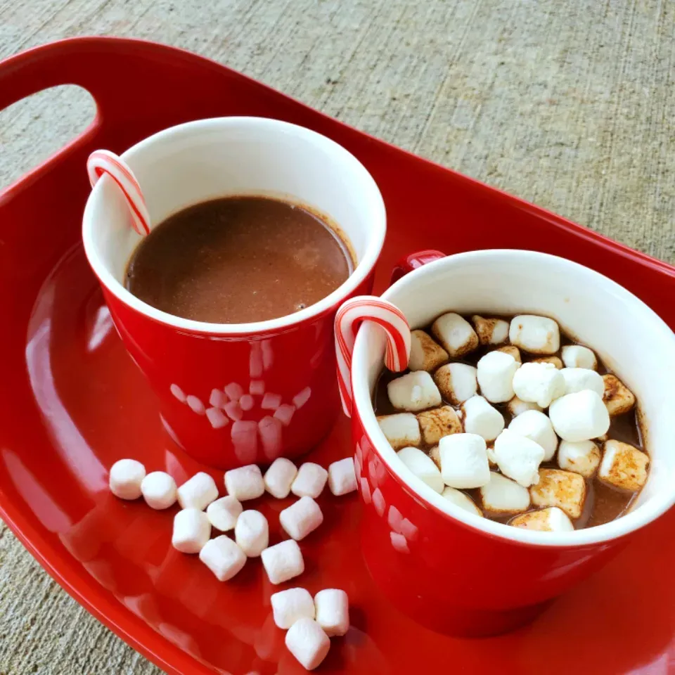 Homemade Slow Cooker Hot Chocolate