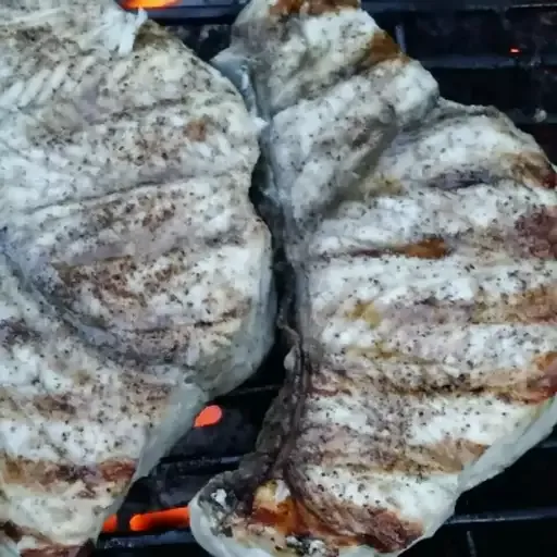 Grilled Gulf Shark