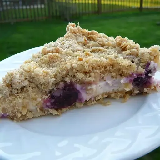 Blueberry Oat Dream Bars