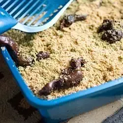 Kitty Litter Cake