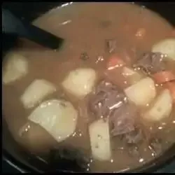 Bison Stew