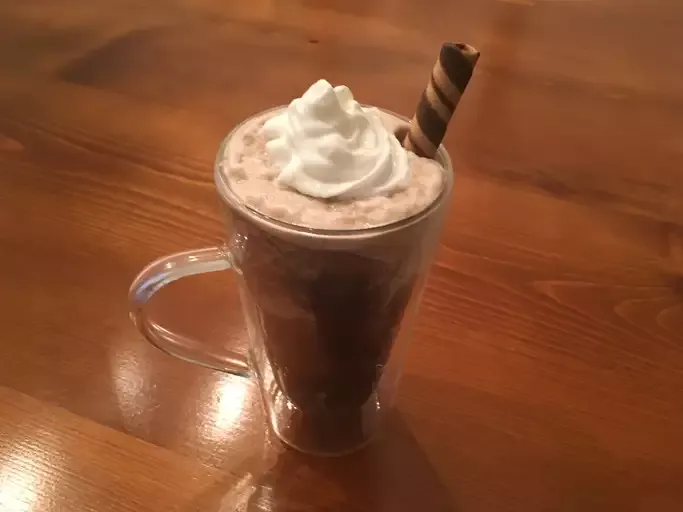 Skinny Chocolate Mocha Shake