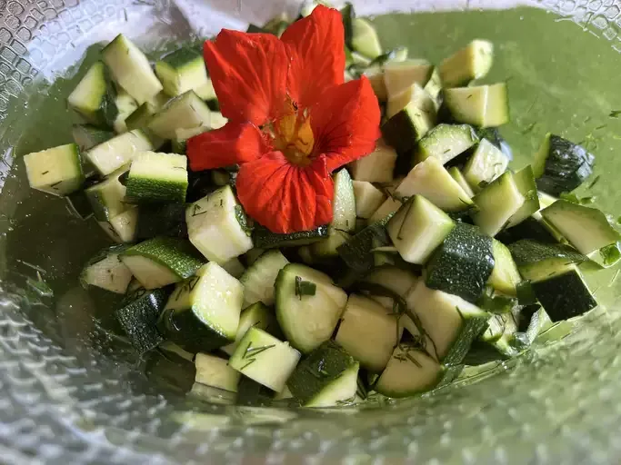 Raw Zucchini Salad