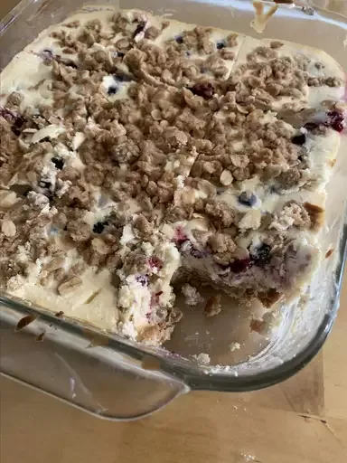 Blueberry Oat Dream Bars