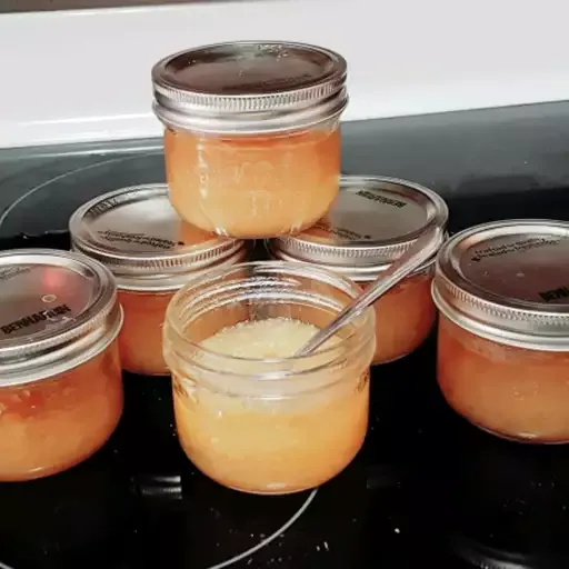 Applesauce for the Freezer