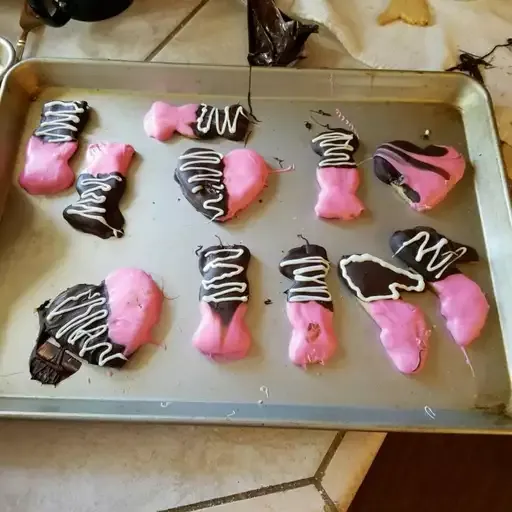 Valentine Conversation Heart Cookies