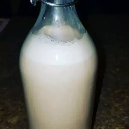 Puerto Rican Coquito