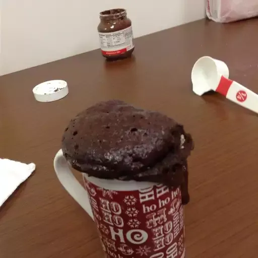 Fudgy Nutella Mug Cake