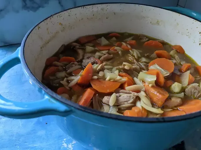 Chicken and Orzo Soup with Fennel