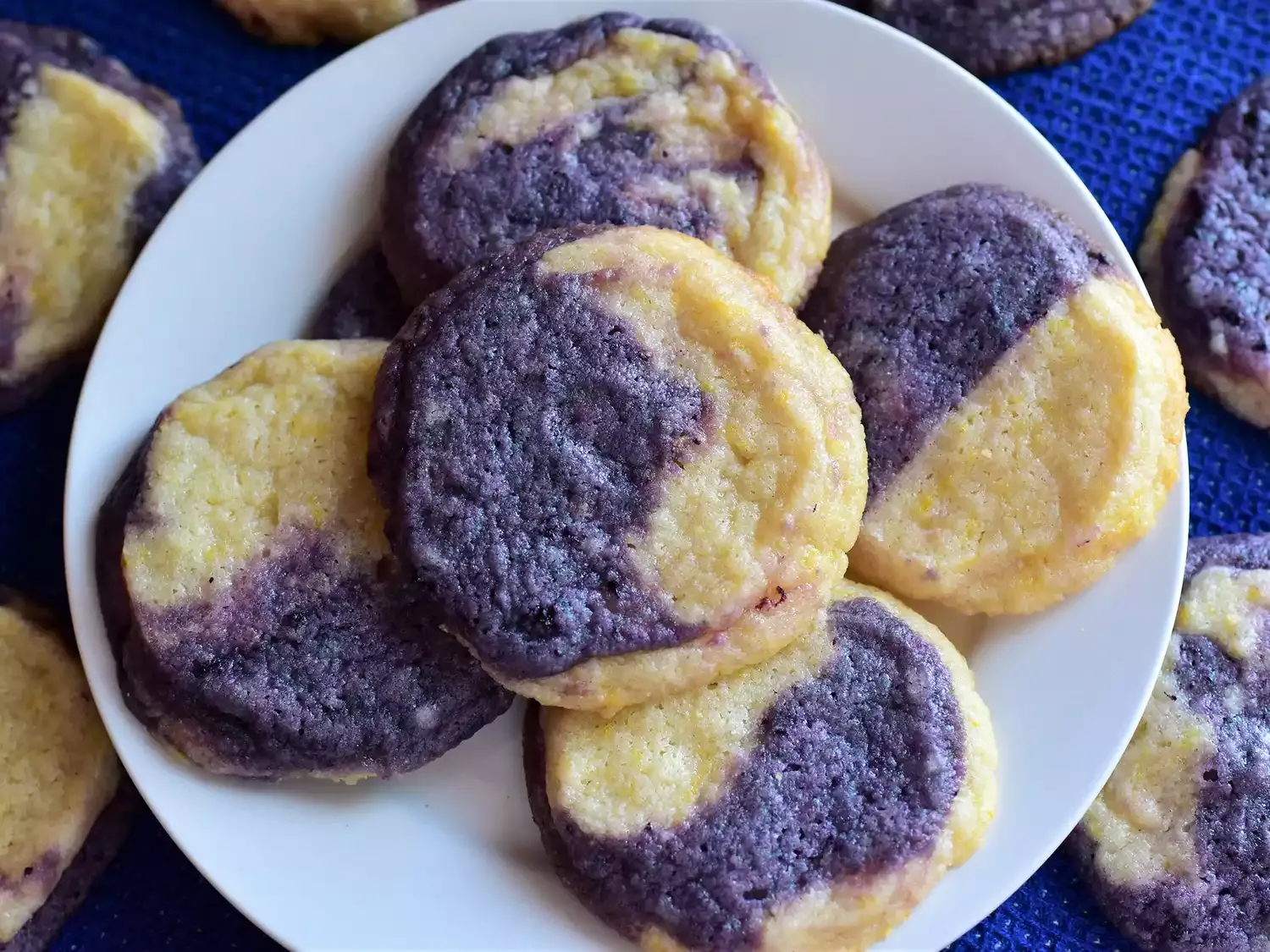 Lemon Blueberry Icebox Cookies