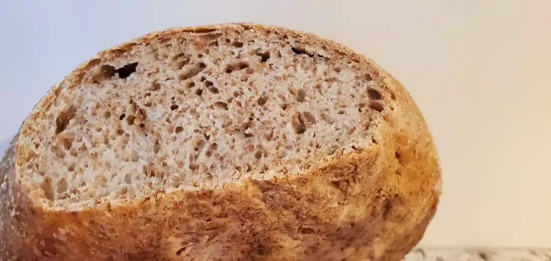 Dutch Oven Whole Wheat Bread