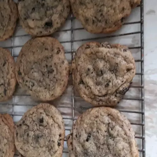 Adam's Dirt Cookies