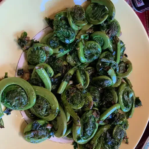 Sautéed Fiddleheads