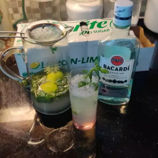 Sugar-Free Mojito Punch