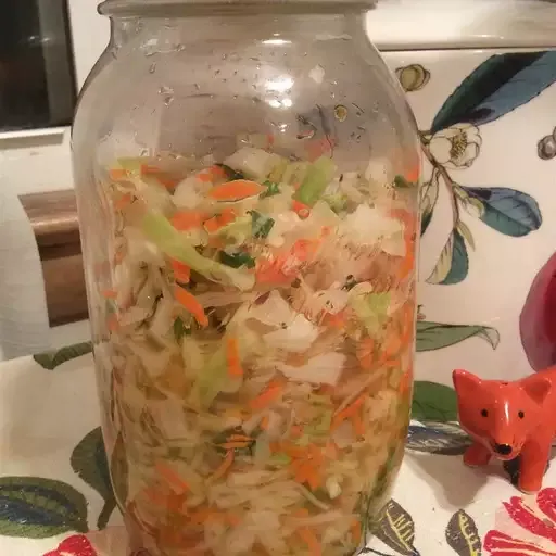 Curtido (El Salvadoran Cabbage Salad)