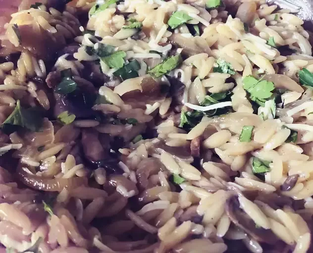 Mushroom Orzo