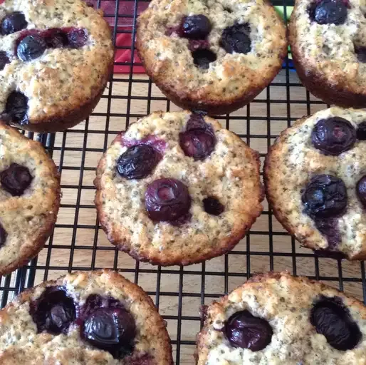 Blueberry Oatmeal Chia Seed Muffins