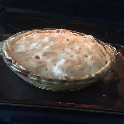 Healthier Chicken Pot Pie IX