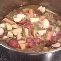 Venison Stew II