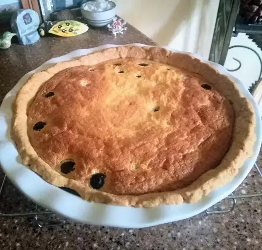 Lemon Blueberry Custard Pie