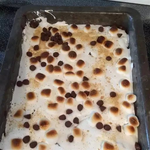 Fudgy S'mores Brownie Bars