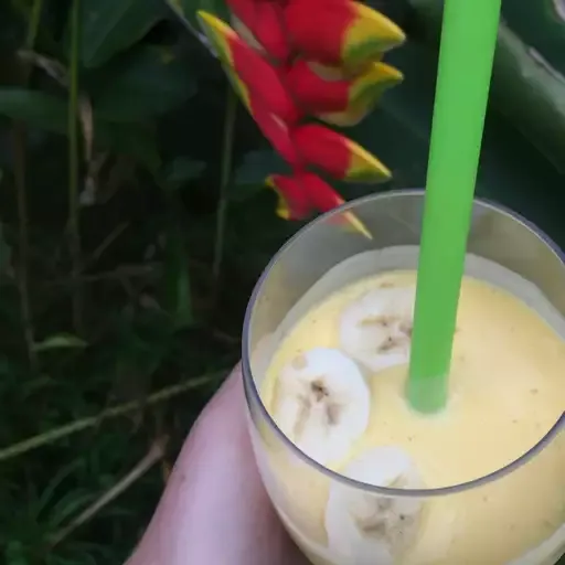 Easy Mango Banana Smoothie