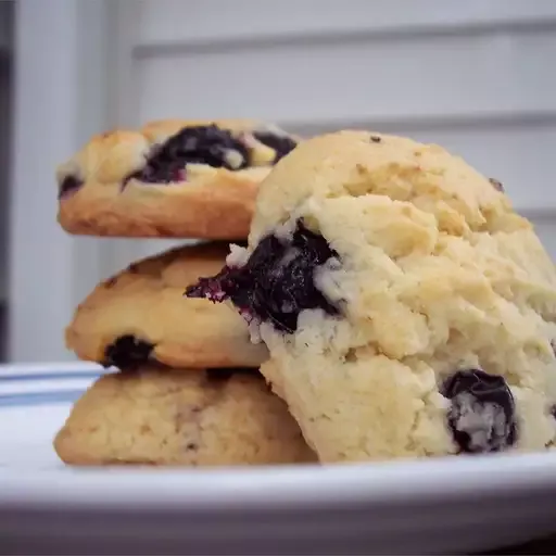 Best Blueberry Cookies