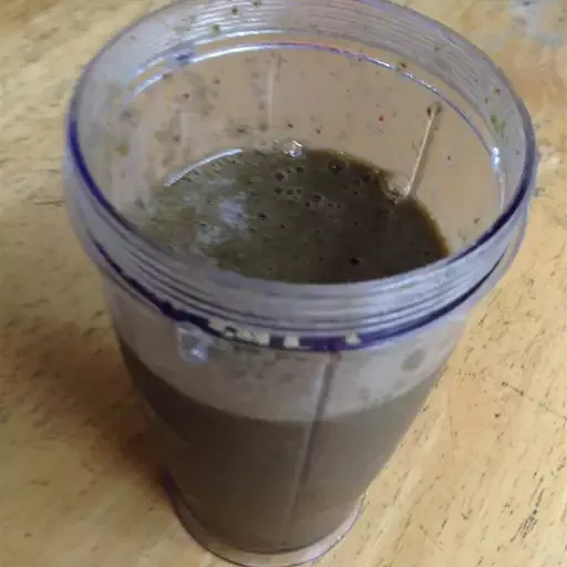 Green Slime Smoothie