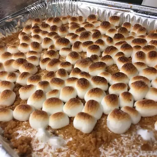 Fudgy S'mores Brownie Bars