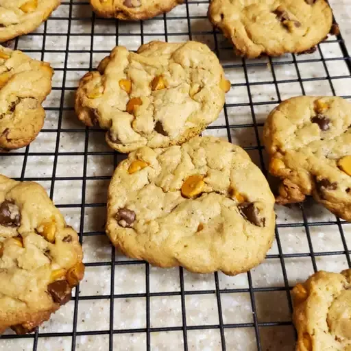 Stephen's Chocolate Chip Cookies