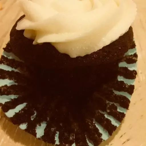 Vegan Chocolate Cupcakes with Vanilla Frosting