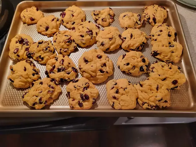 Easy Thanksgiving Cookies