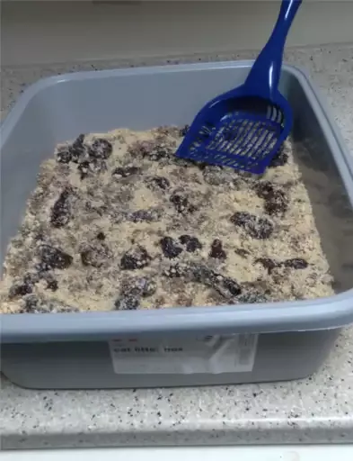 Kitty Litter Cake