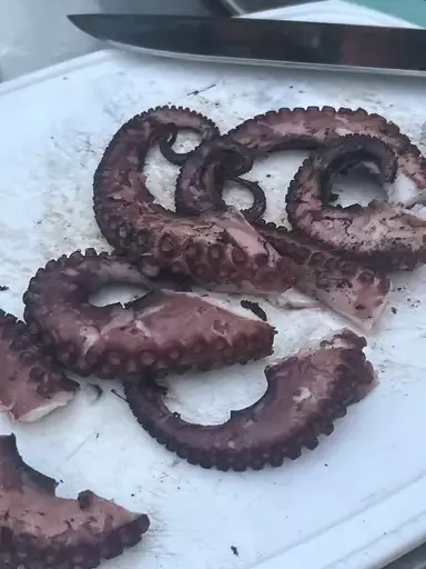 Grilled Octopus