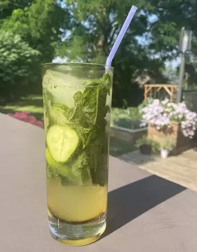 Mint-Cucumber Mojitos