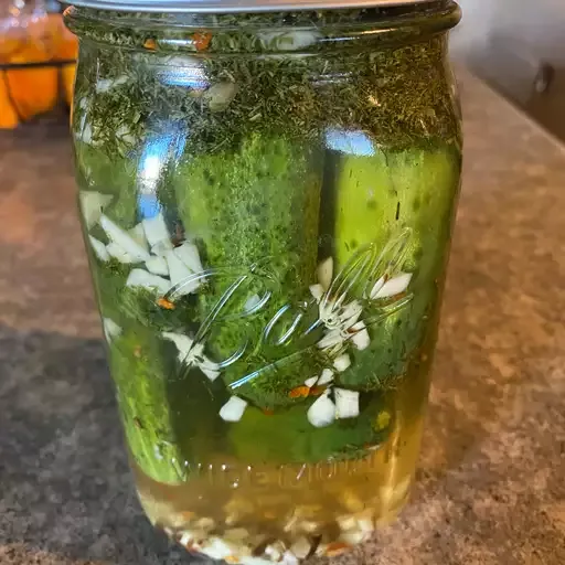 Spicy Refrigerator Dill Pickles