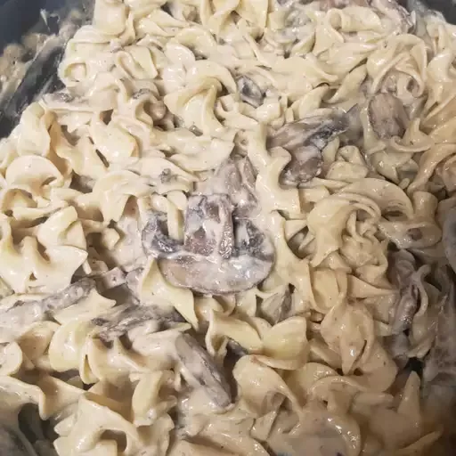 Portobello Mushroom Stroganoff