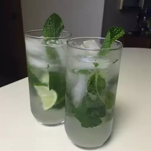 Mojito Perfecto