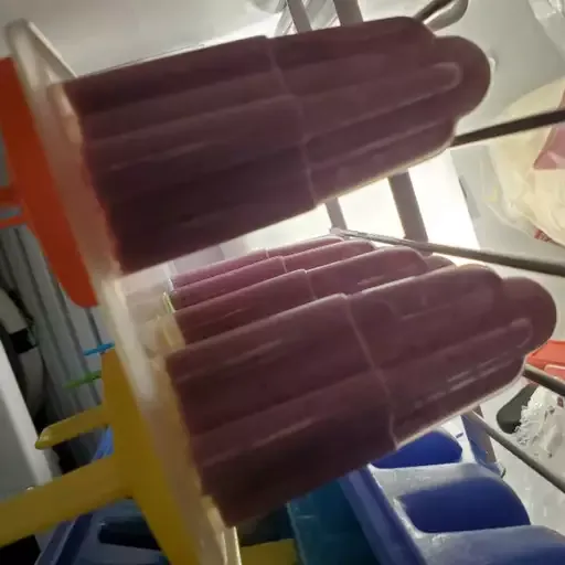 Homemade Fruit Popsicles