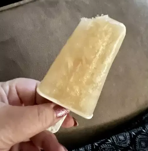 Old-Fashioned Vanilla Ice Pops (a.k.a. Pop Pops)