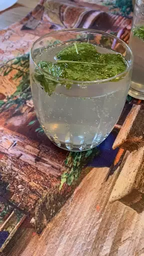 No-Sweat Mojito